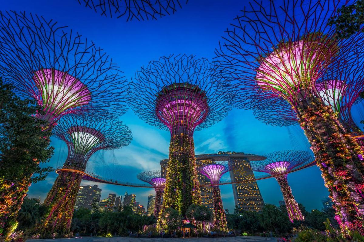 Singapore e Isole Fiji
