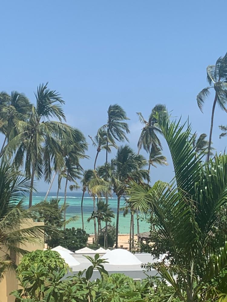 9916_ZANZIBAR.jpg