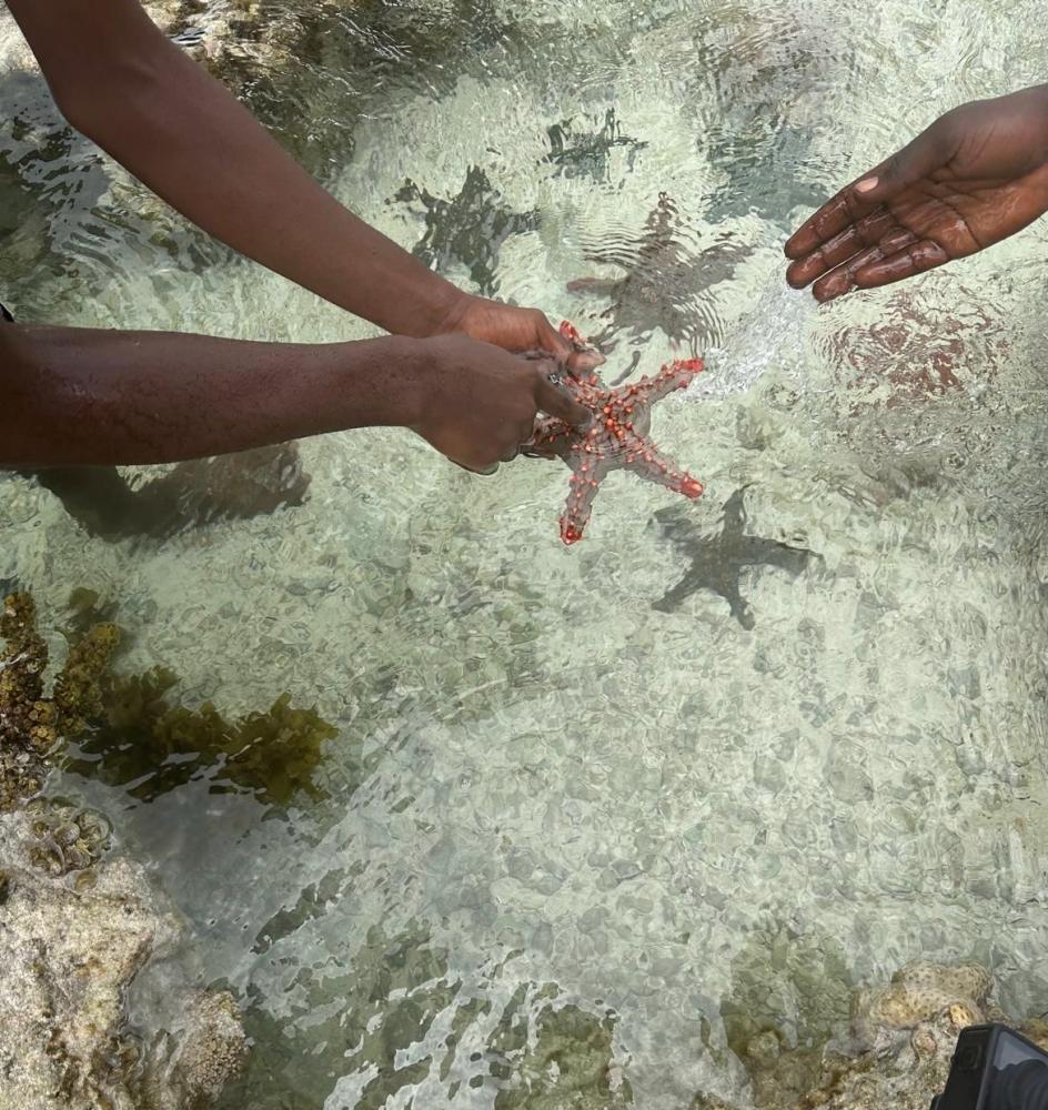 9917_ZANZIBAR.jpg