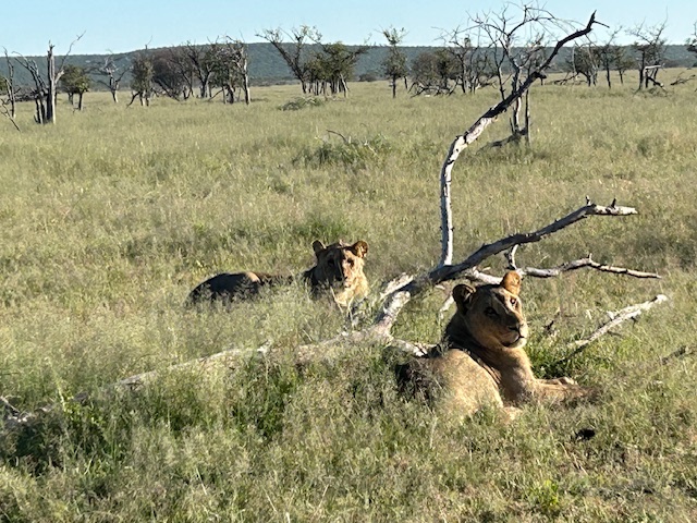 9920_NAMIBIA.jpg