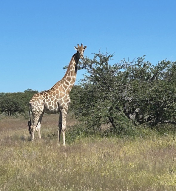 9921_NAMIBIA.jpg