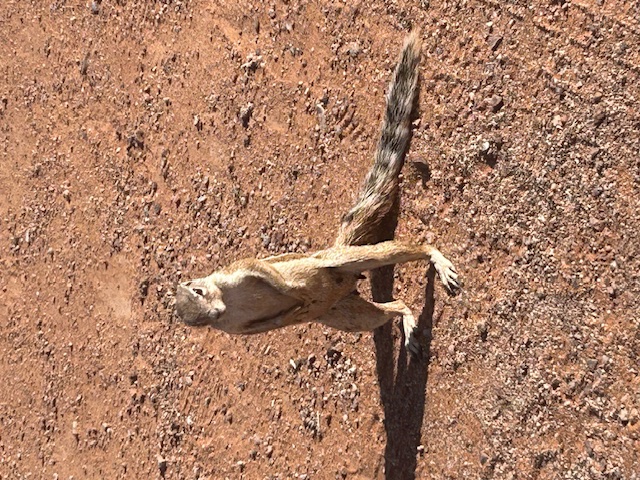 9924_NAMIBIA.jpg