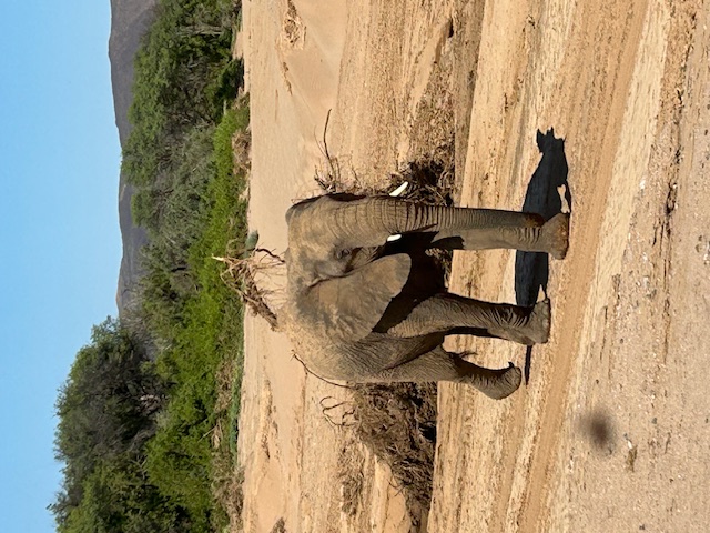 9925_NAMIBIA.jpg