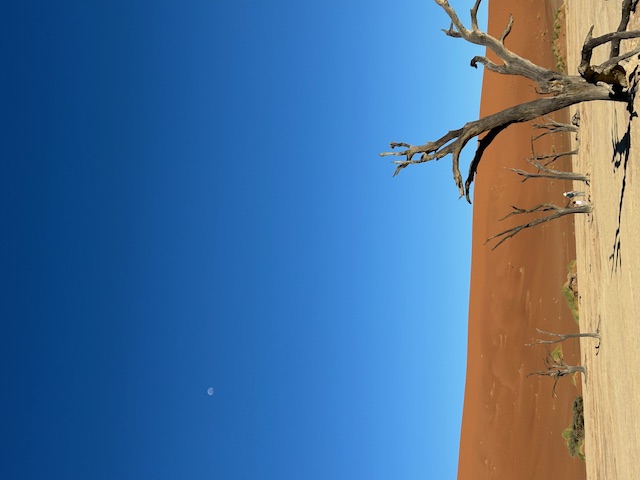9927_NAMIBIA.jpg